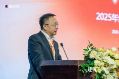 北新嘉宝莉2024年实